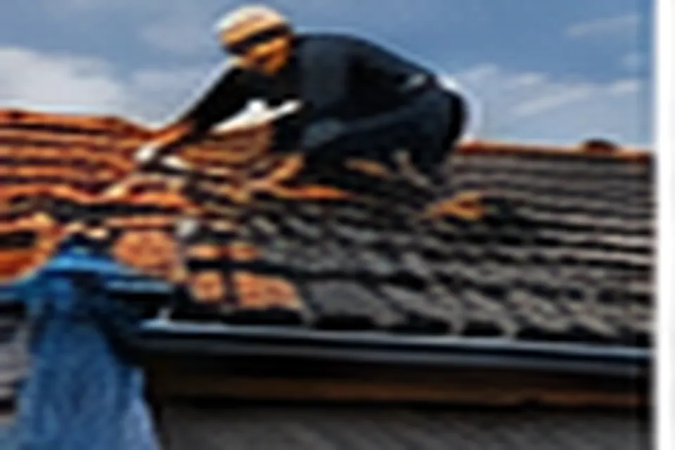 Inspection professionnelle d'une toiture